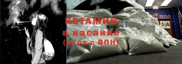 шишки Беломорск