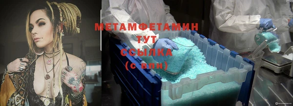 шишки Беломорск