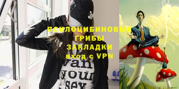 шишки Беломорск
