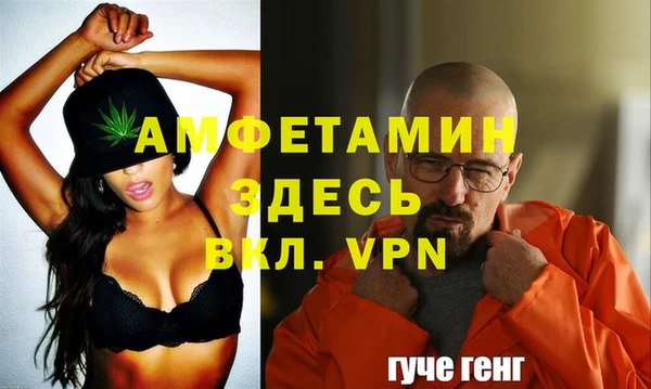 шишки Беломорск