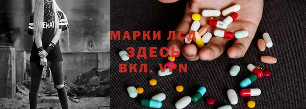 шишки Беломорск